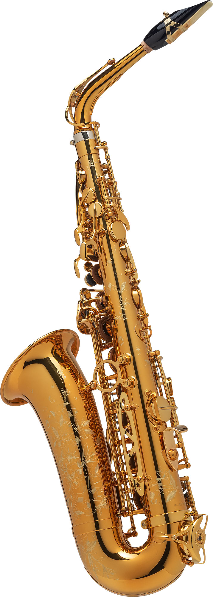 SELMER-Altsaxophon-SUPREME_2VowvMTZVsdS71