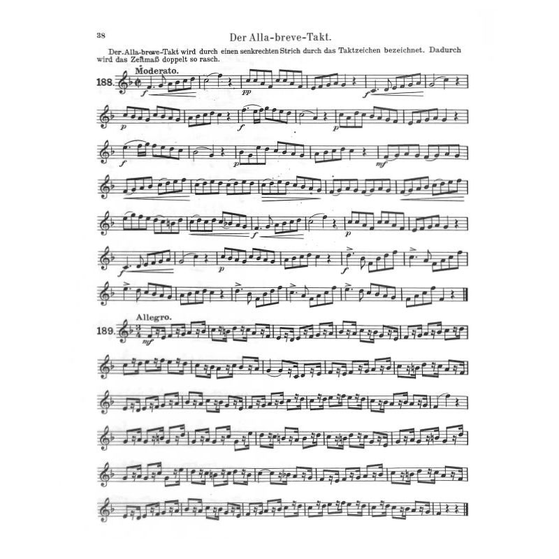 Lahn-Karl-Tenorhornschule_3