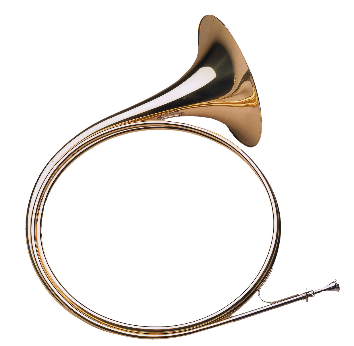 DOTZAUER-Parforcehorn-in-Es-18420-Konzertmodell_GMsPDVNC3FYrT6r DOTZAUER-Parforcehorn in Es 18420 *Konzertmodell*