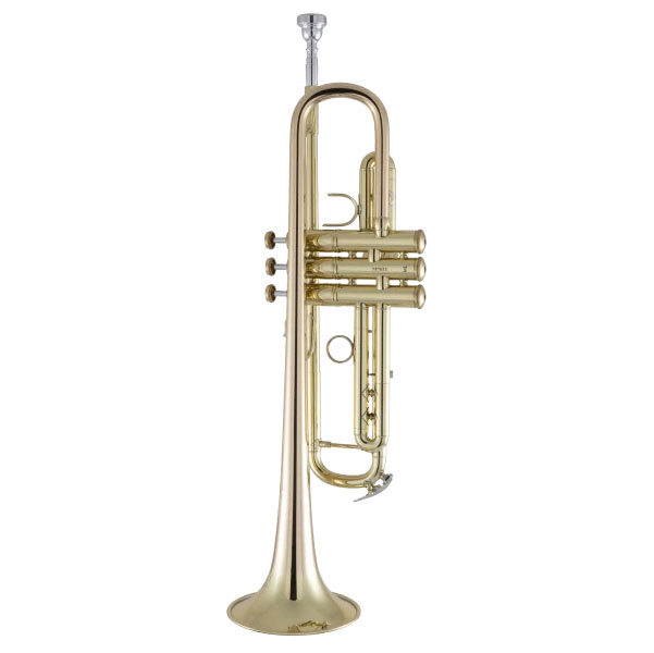 3000494_BACH-Trompete-17043GYR_08