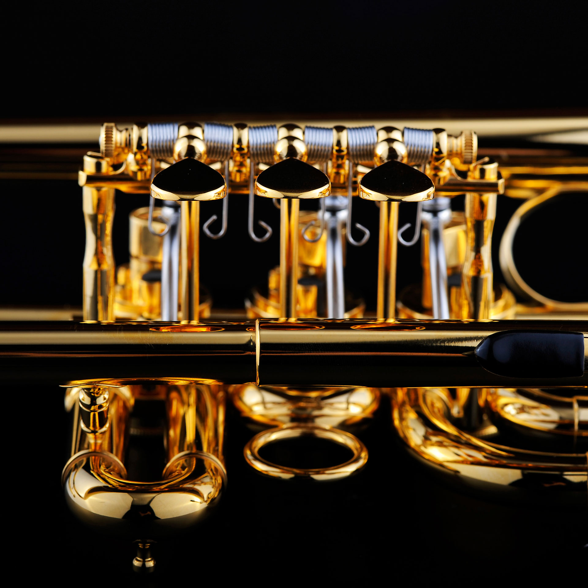 3050100_SCHAGERL-Bb-Trompete-Wien-2021-vergoldet_06