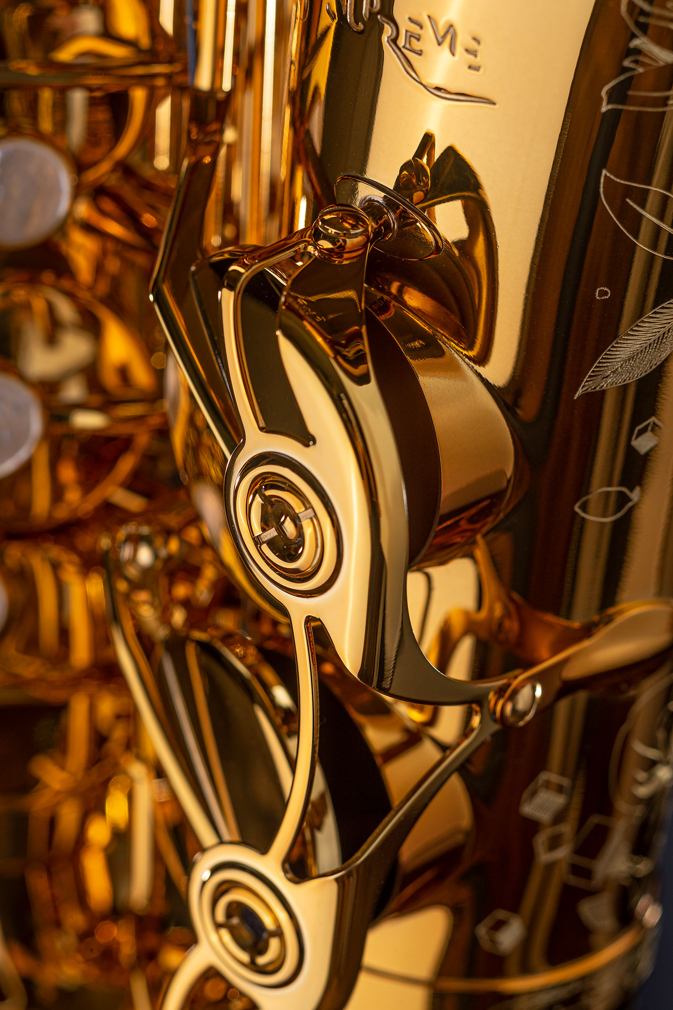 SELMER-Altsaxophon-SUPREME_6JODnYXZwuJjo5