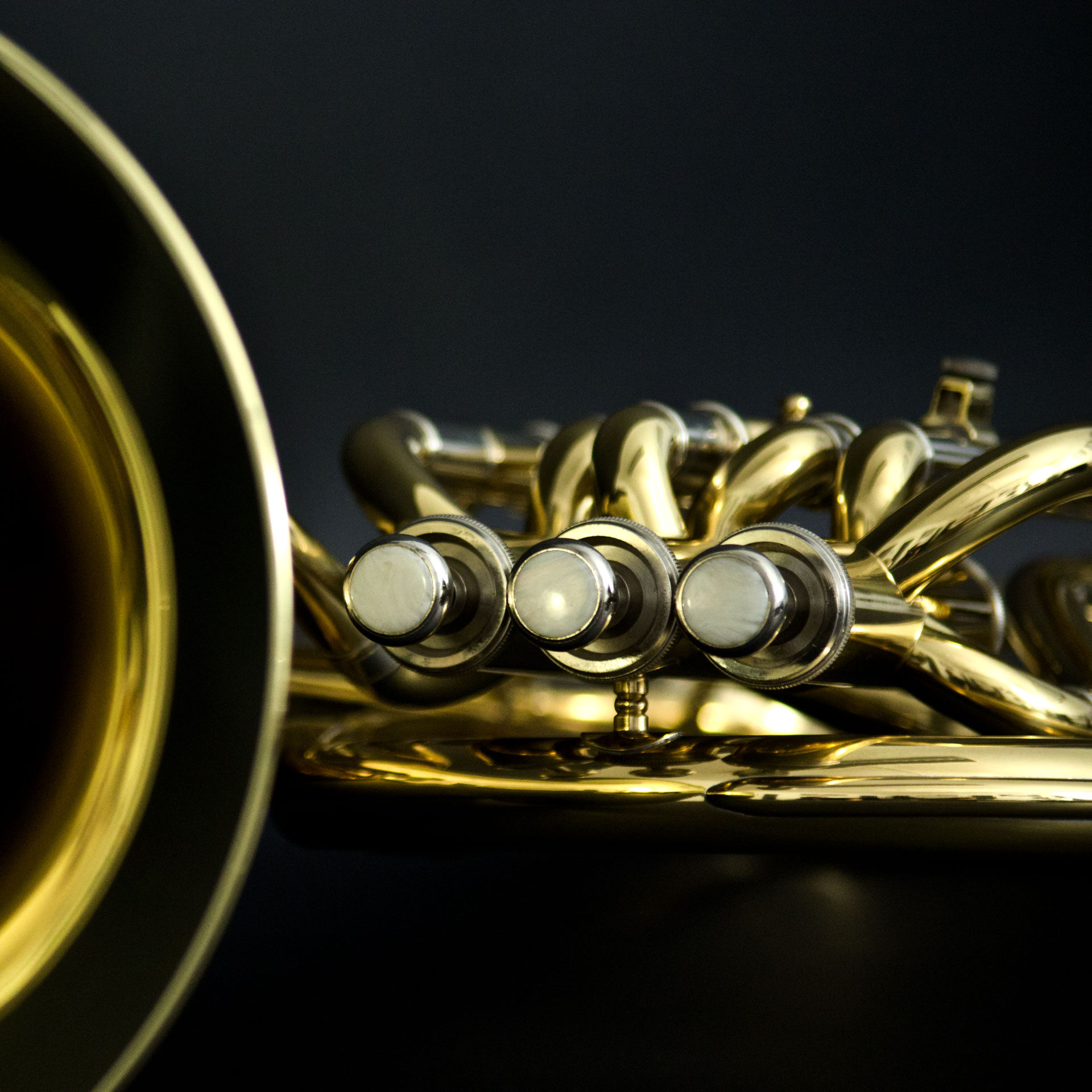 3500660_JOHN_PACKER-Tenorhorn-JP173_05