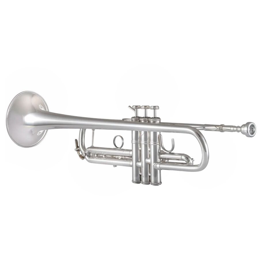 3000492_BACH-Trompete-170S43GY_01