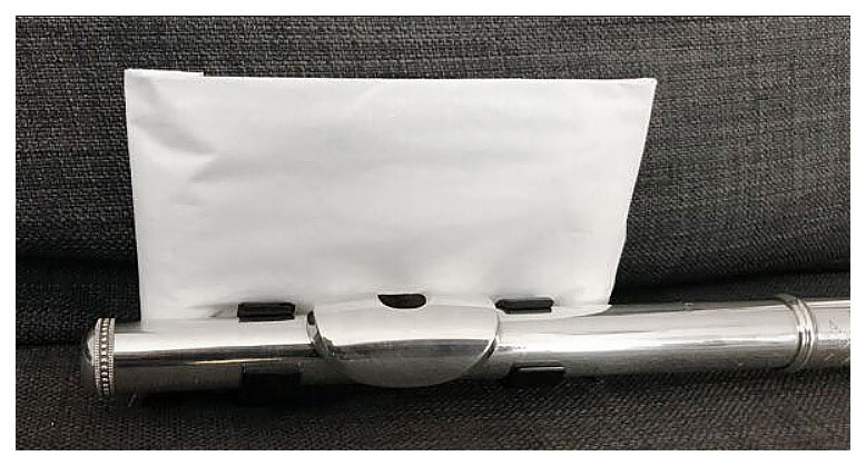 Flovid-Set-Troepfchenschutz-fuer-QuerfloeteTKJ7m3TPishry