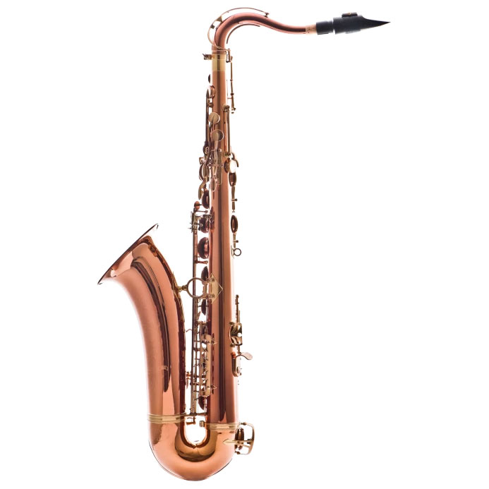 2203535_LEBLANC-Tenorsaxophone-Premiere-LTS711-lackiert_02