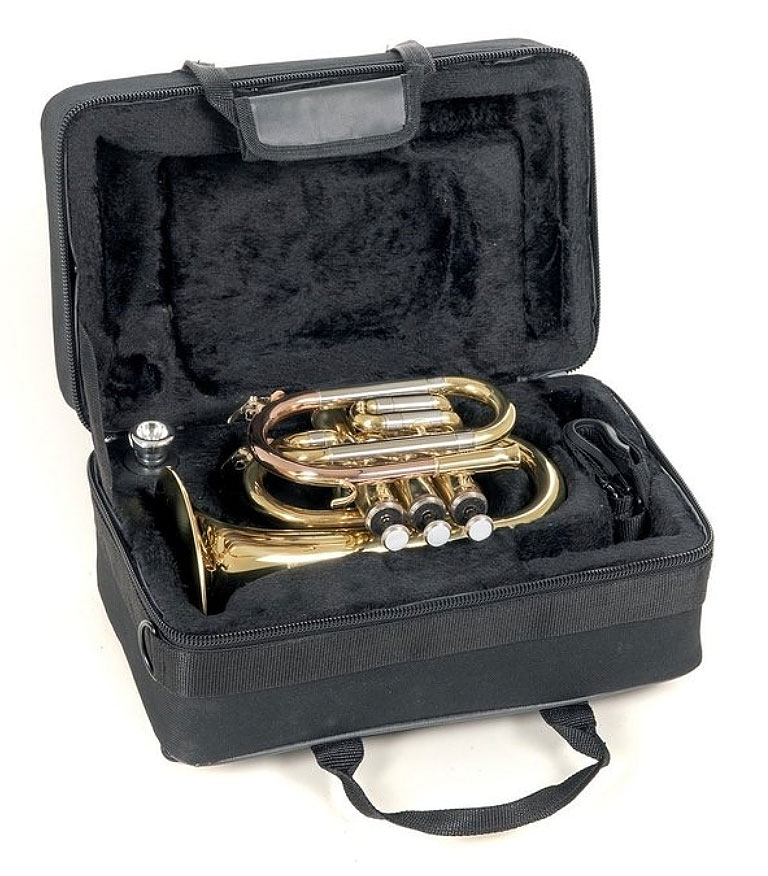 ROY-BENSON-Taschentrompete-PT-302_2