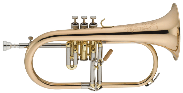 xo_1646rl_z158dcff13763df