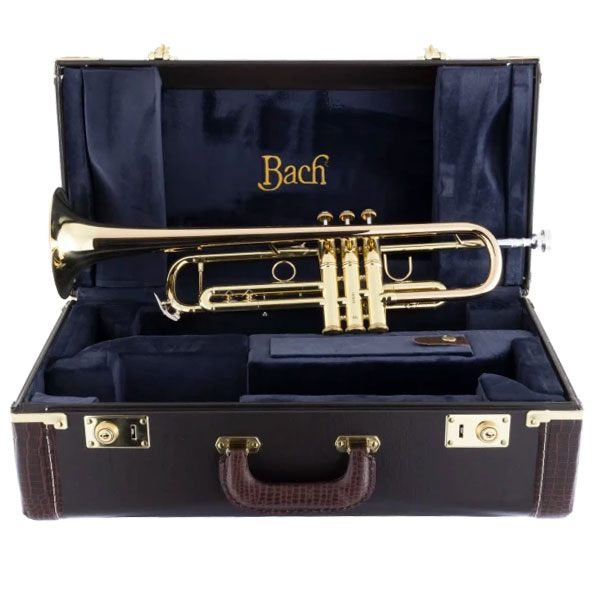 3000494_BACH-Trompete-17043GYR_04