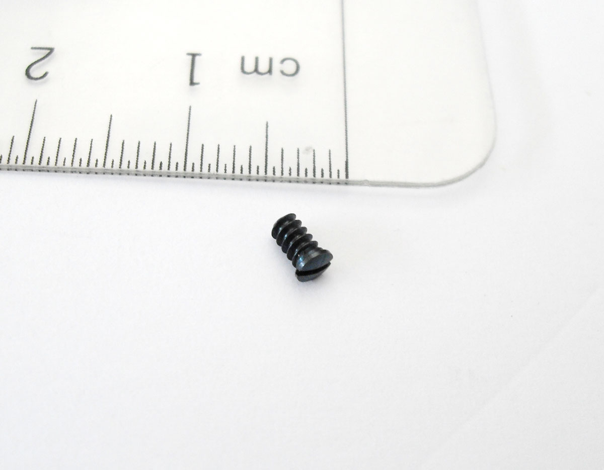 Schienenschraube-2-5-x-4-mm Schienenschraube 2,5 x 4 mm