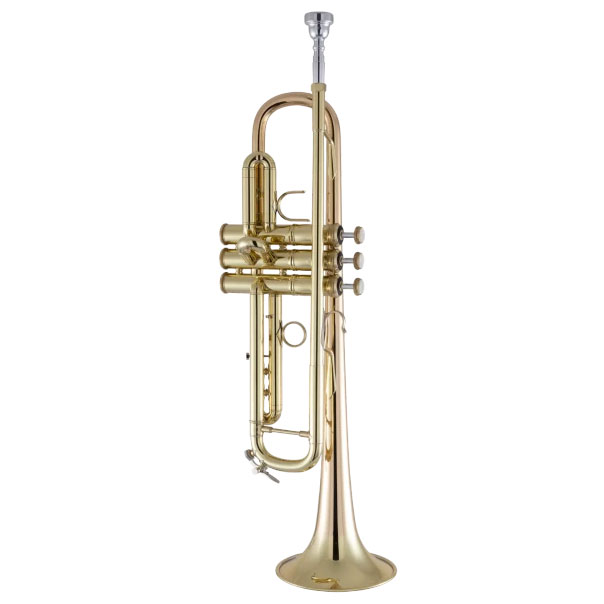 3000494_BACH-Trompete-17043GYR_09