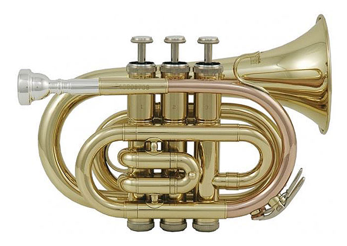 ROY-BENSON-B-Taschentrompete-PT-101 ROY BENSON-B-Taschentrompete PT-101