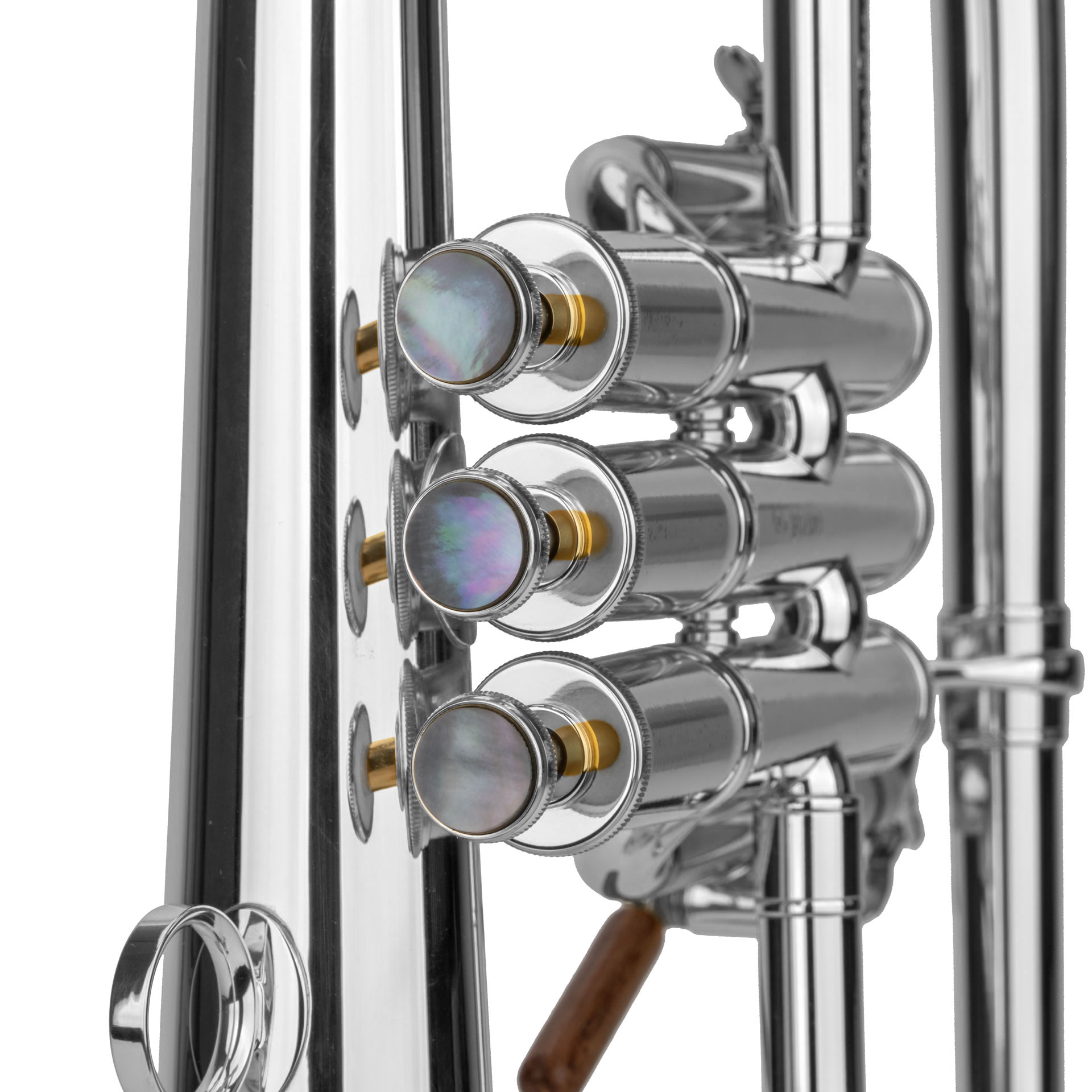 3150142_CAROL-BRASS-Bb-Fluegelhorn-CFL-6200GS_06