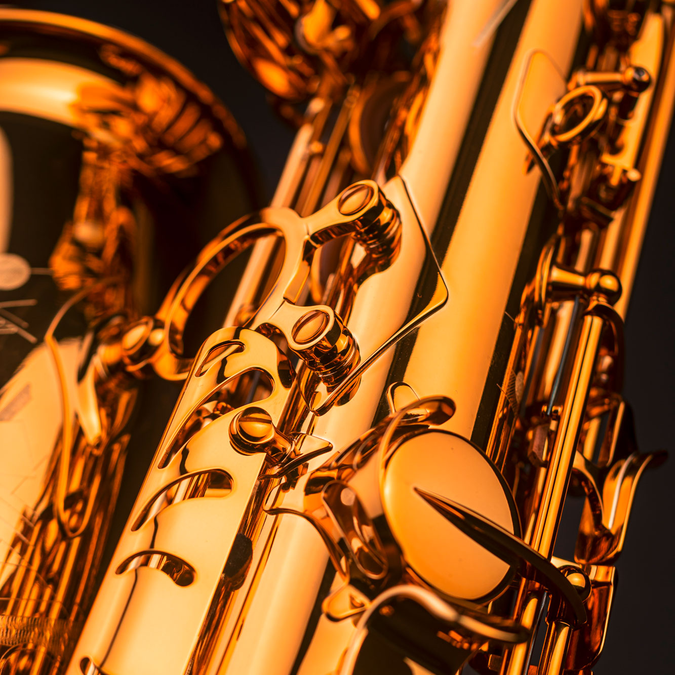 2200620_SELMER-Altsaxophon-SIGNATURE_04