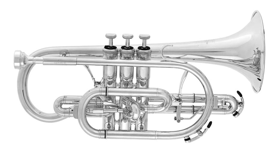 WILLSON-Kornett -Celebration- Modell 430