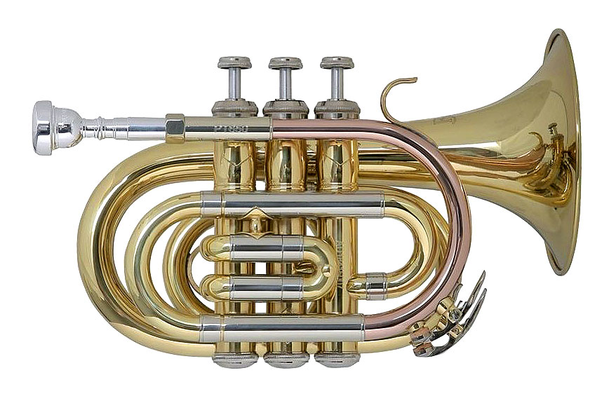 BACH-Taschentrompete-PT-6505cf769e5cb8ba BACH-Taschentrompete PT-650