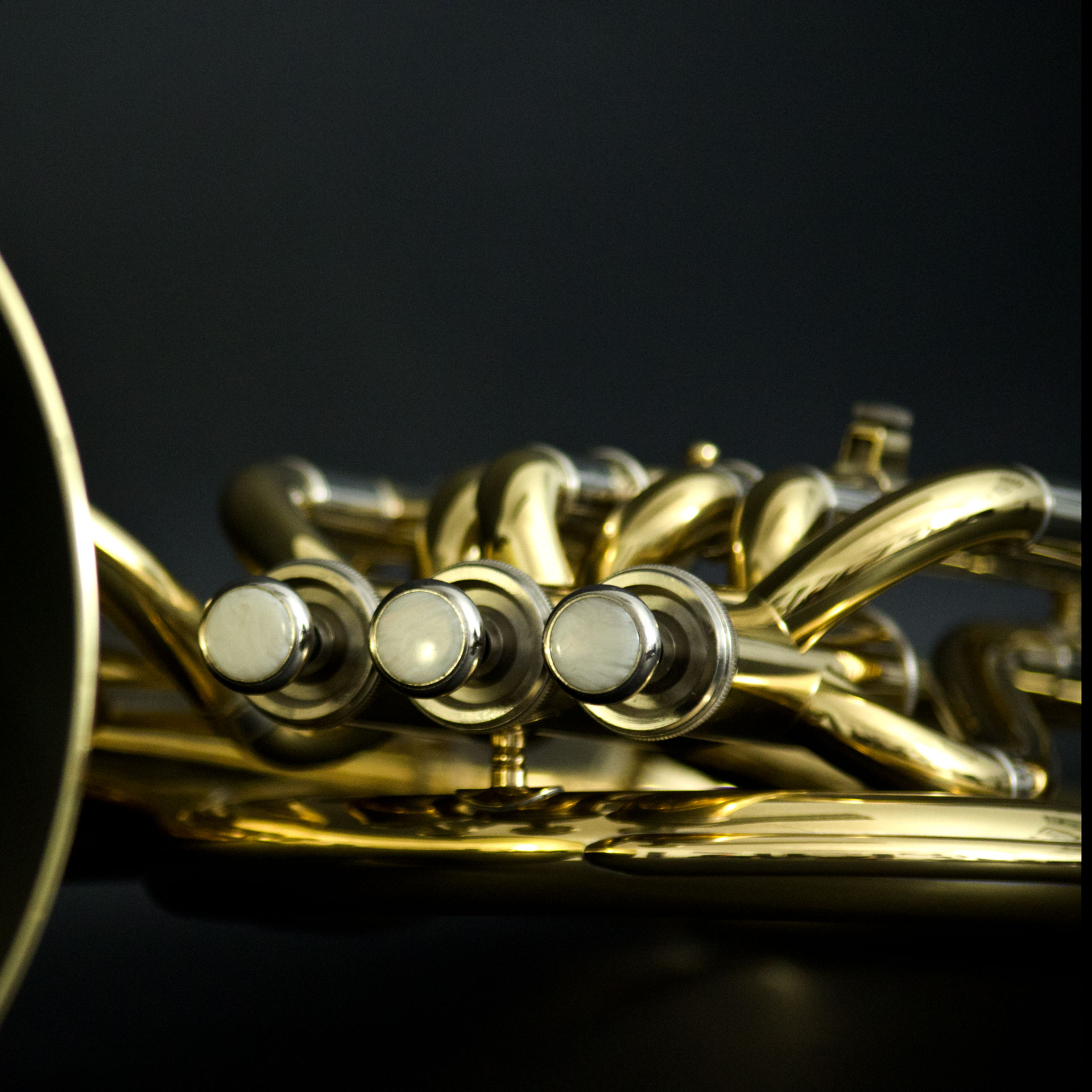 3500660_JOHN_PACKER-Tenorhorn-JP173_04