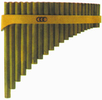 2020170_z1 aS Panflöte Proline G 22 Rohre, Holzgürtel