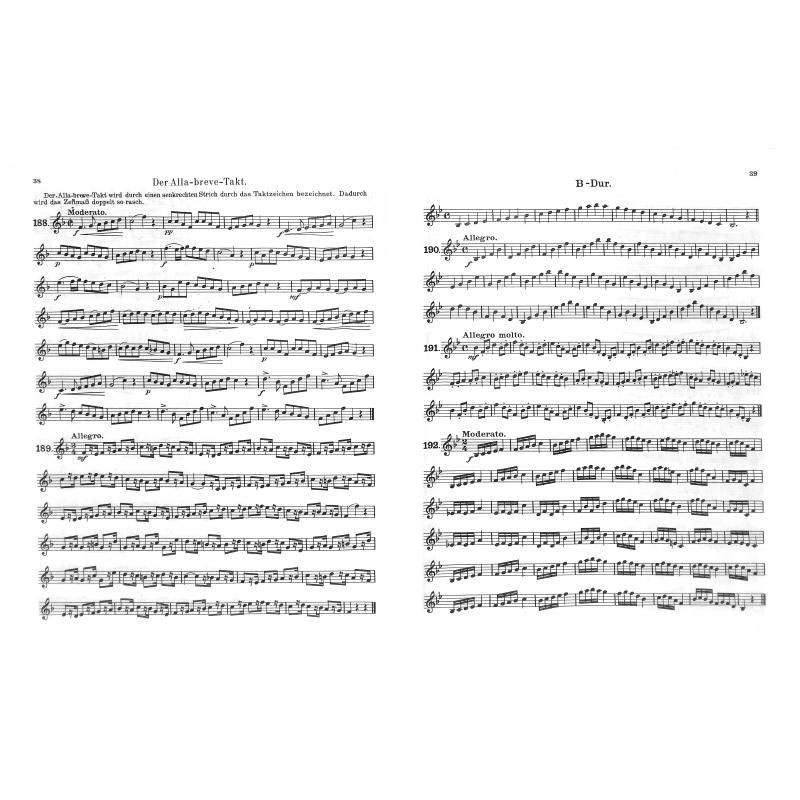 Lahn-Karl-Tenorhornschule_2