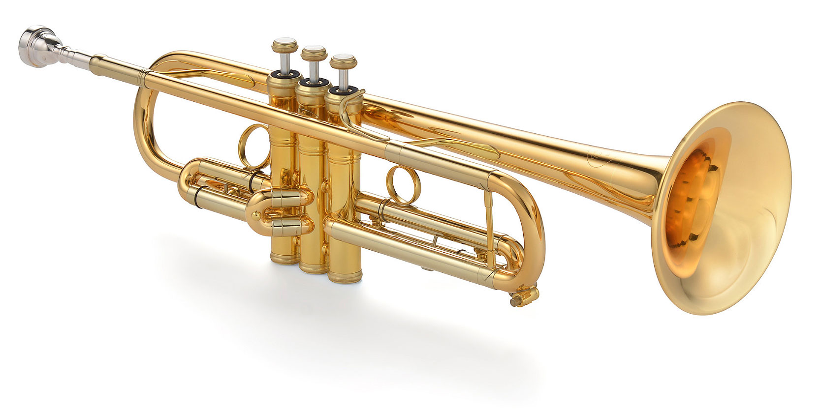 K-H-Trompete-Topline-116-24RL5bed4a94d4b6a K&H-Trompete -Topline- 116 24RL