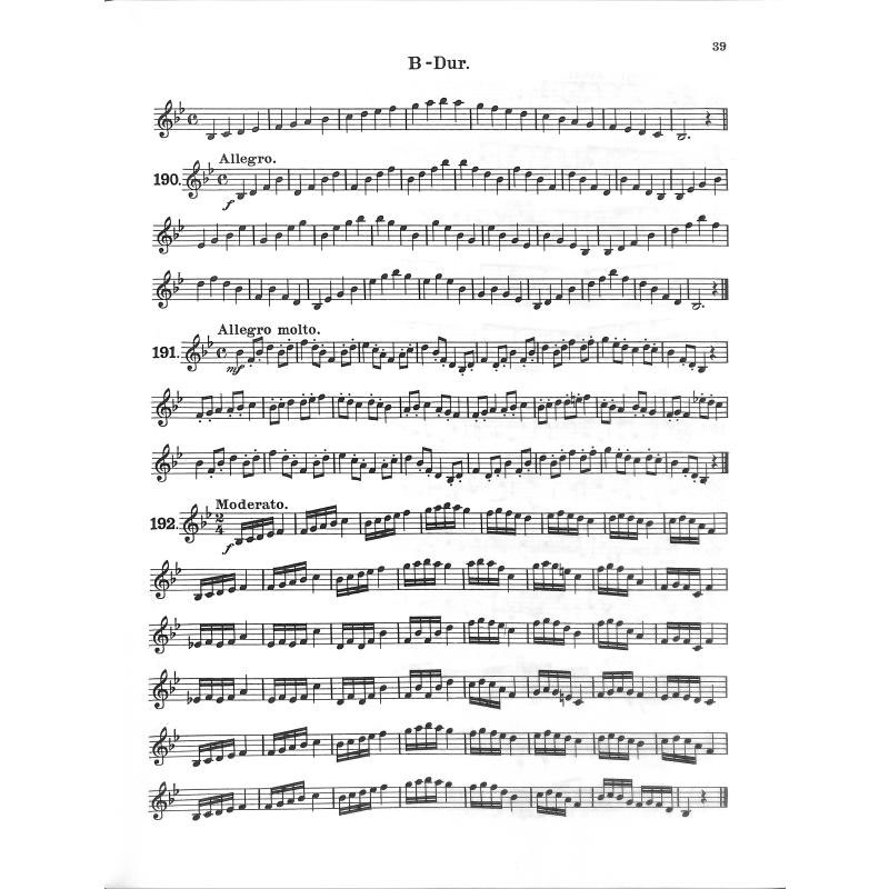 Lahn-Karl-Tenorhornschule_4