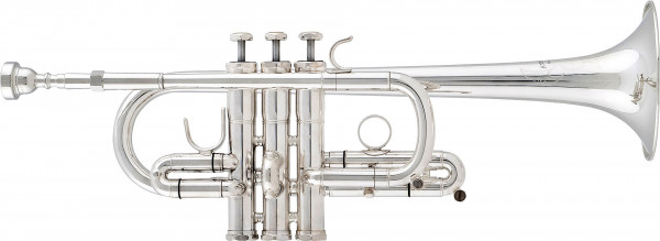 aS Eb/D Trumpet -TERRA- TR-4600 GS