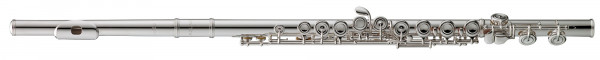 AZUMI Flute AZ Z2E