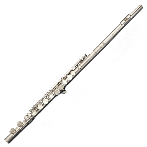 Di Zhao Flute DZ 301 RCE