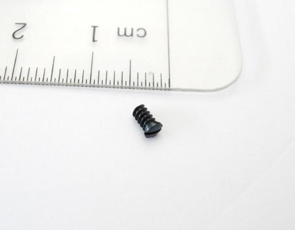 Schienenschraube 2,5 x 4 mm