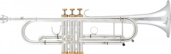 aS Bb Trumpet -TERRA- TR-5200 GSG