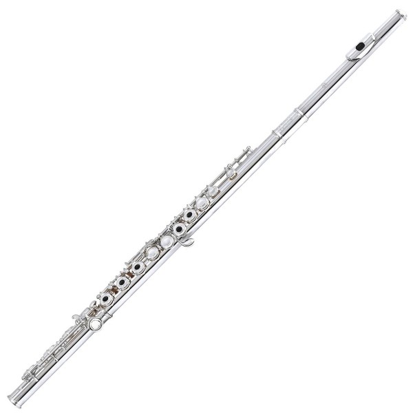 Di Zhao Flute DZ 501 RBE