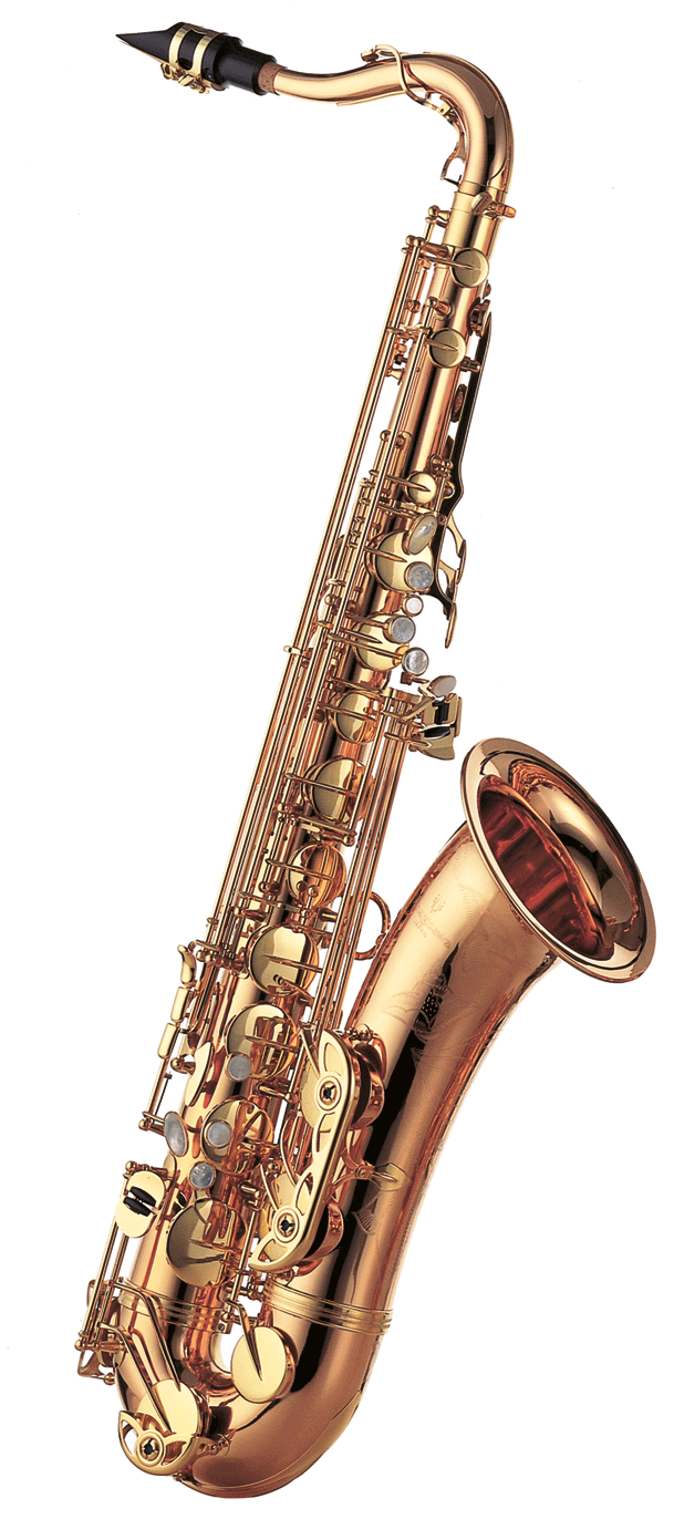 YANAGISAWATenorsaxophon TW020 Elite Tenor Saxophone Saxophone