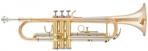 aS Bb Trumpet -TERRA- TR-4200G