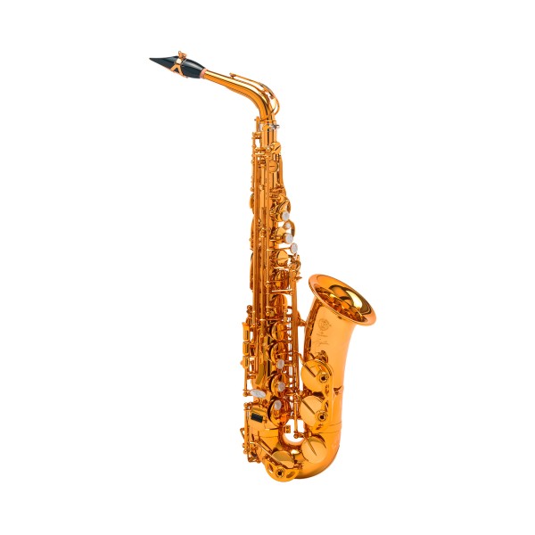 SELMER-Altsaxophon SIGNATURE vergoldet