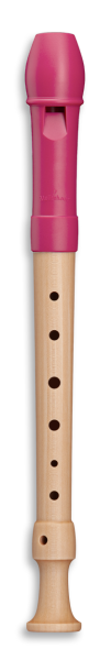MOLLENHAUER Fipple - Tere - soprano Recorder german