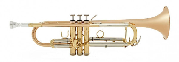BESSON-Trompete BE110G-1-0