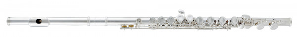 aS Arnolds Flute AFL 210E