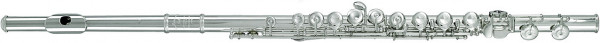 MURAMATSU Flute DS-RC-E heavy