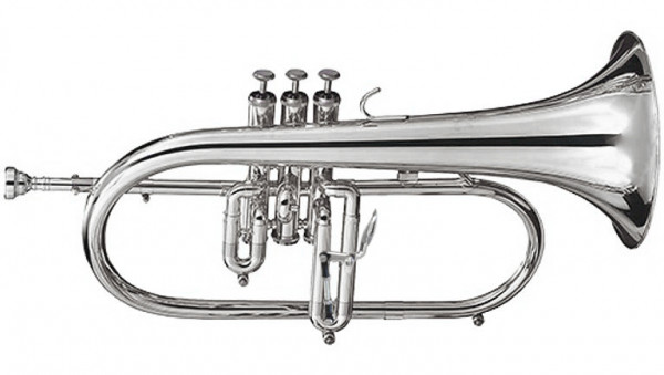 GETZEN Eterna 895S-T Flugelhorn