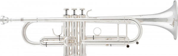 aS Bb Trumpet -TERRA- TR-5200 GS